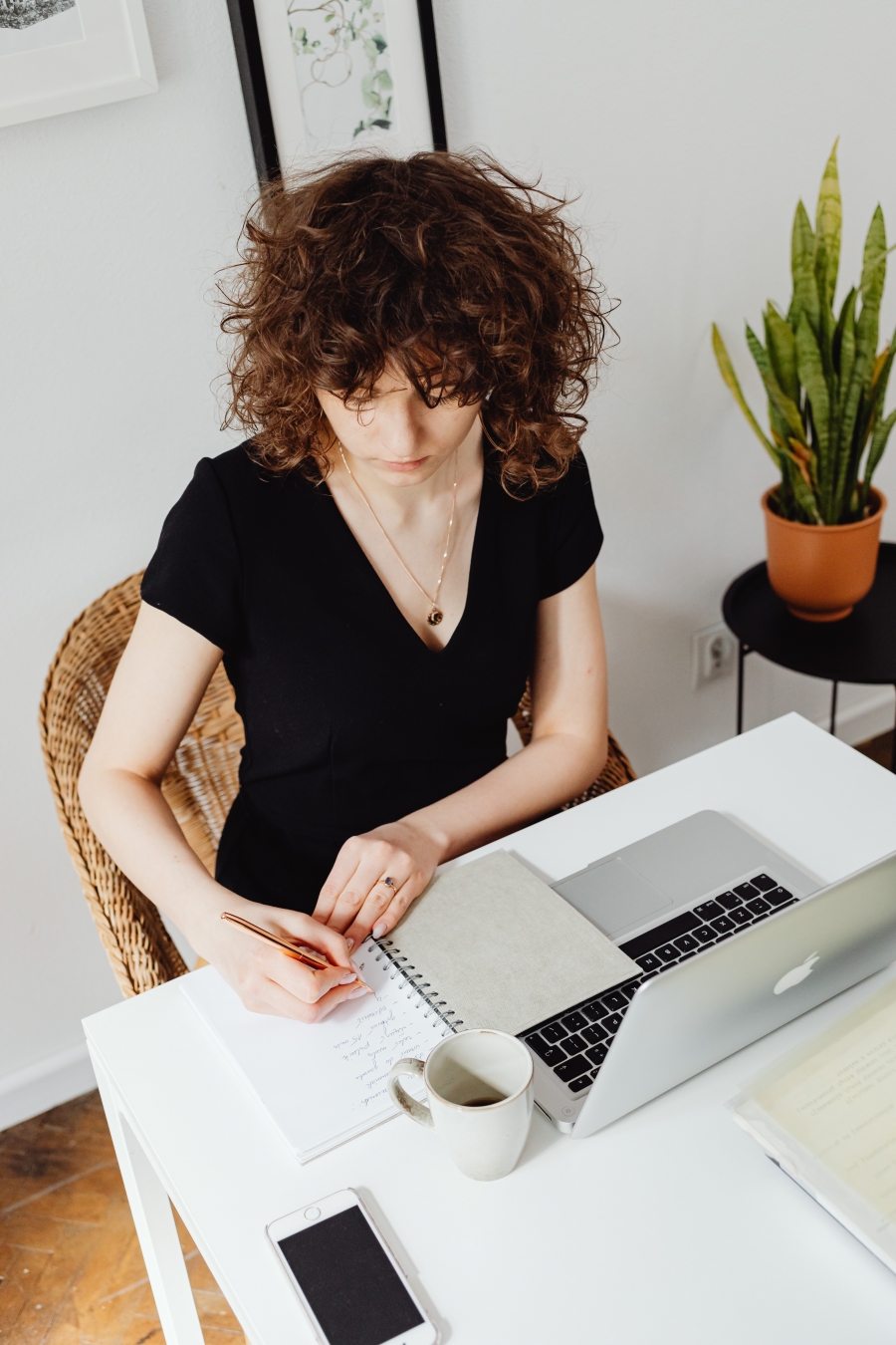 Tips and Hints on Putting Together the Perfect CV